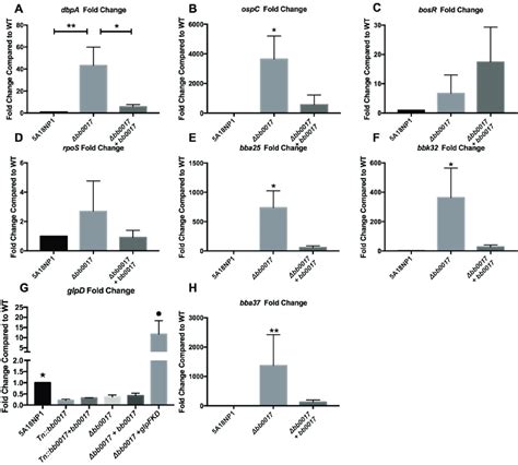 Validation Of Rna Seq By Rt Qpcr Rt Qpcr For Expression Of A Panel Of