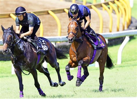 【宝塚記念】武豊ドウデュースは4枠4番から復活狙う ジャスティンパレスは2枠2番 枠順発表 Umatoku 馬トク