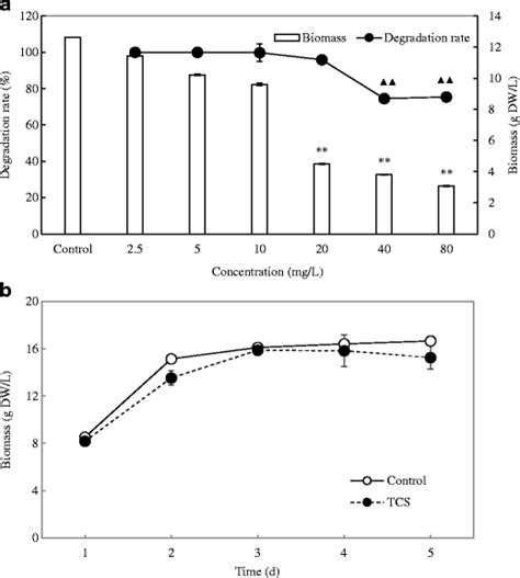 The Fungal Growth And TCS Degradation In Cultures Of Endophytic