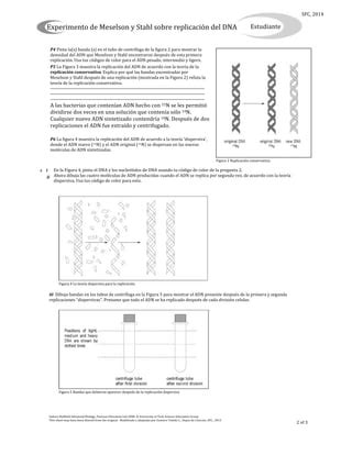 Experimento De Meselson Y Stahl 2014 PDF