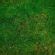 Seven Free Grass Textures Or Lawn Background Images