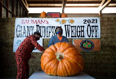 Great Pumpkin Weigh Off At Bauman Harvest Festival