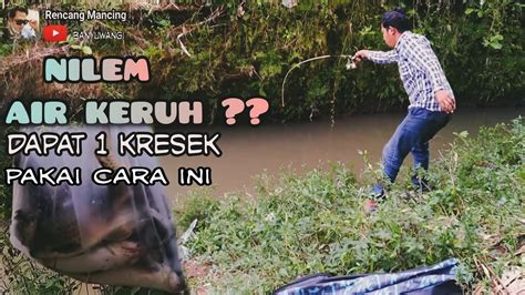 Mancing Nilem Serasa Mancing Di Kolam Teknik Dasaran YouTube