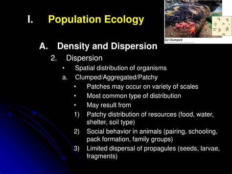 PPT - Population Ecology Density and Dispersion Dispersion Spatial ...