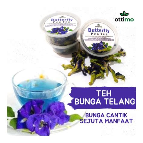 Jual Teh Telang Teh Butterfly Pea Minuman Herbal Teh Telang