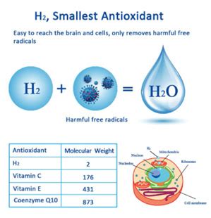 Molecular Hydrogen Inhalation Therapy At Affordable Prices