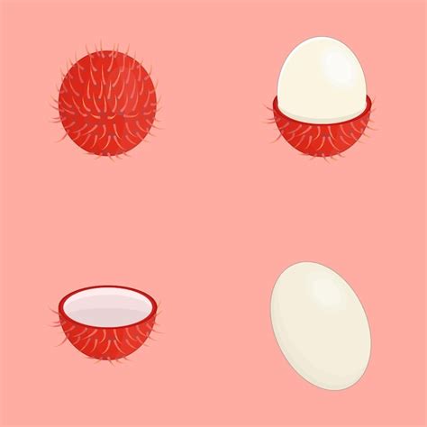 Rambutan Visual Vectors And Illustrations For Free Download Freepik