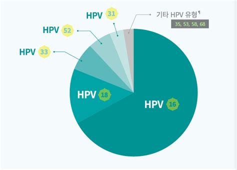 남자도 가다실9가 자궁경부암 예방접종 나이 시기 주사 비용 가격 네이버 블로그