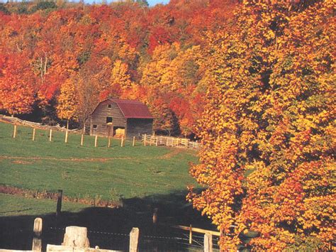 Fall Barn Desktop Wallpaper - WallpaperSafari