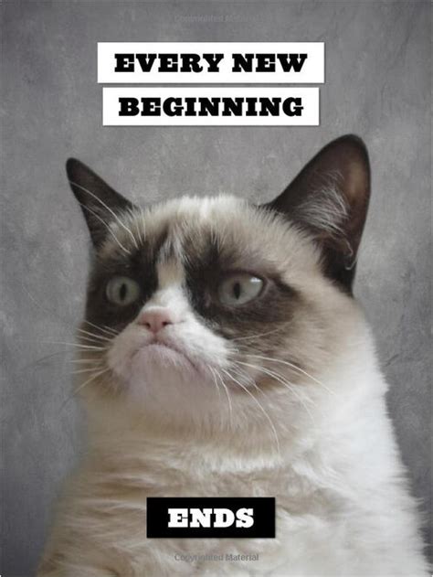 Grumpy Cat A Grumpy Book Grumpy Cat Book In Stock Buy Now At