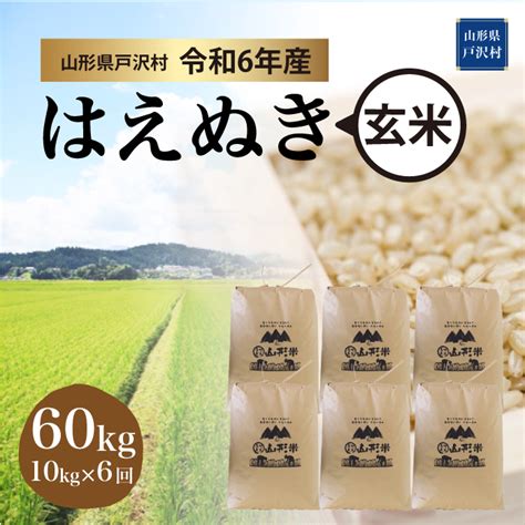 ＜令和6年産米 早期受付＞ 令和6年12月下旬より配送開始 はえぬき【玄米】60kg定期便 10kg×6回 戸沢村 山形県戸沢村 Jre Mallふるさと納税