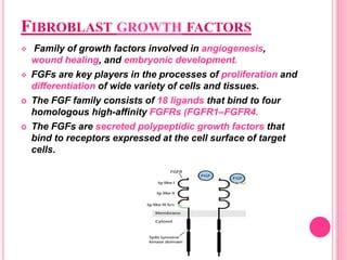 Fibroblast Growth Factors Ppt