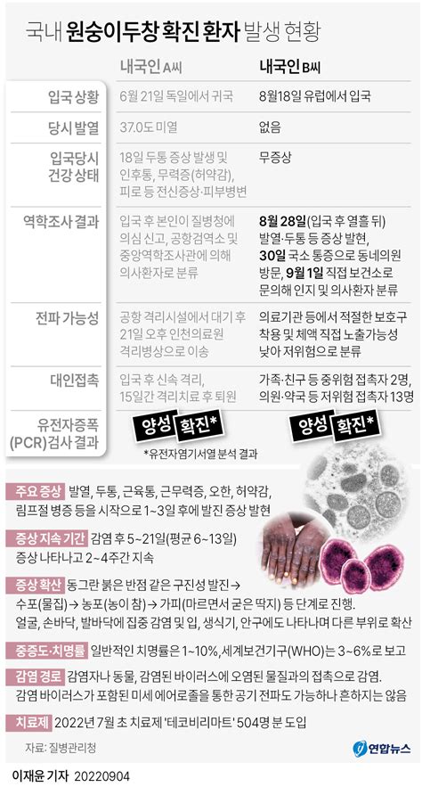 그래픽 국내 원숭이두창 확진 환자 발생 현황 연합뉴스