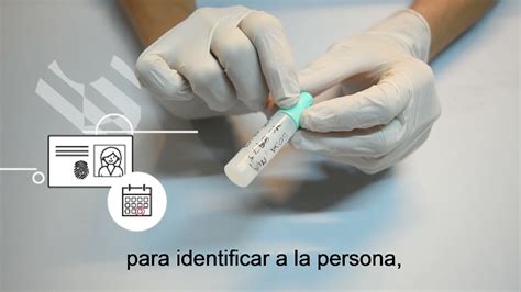 Instructivo De Lectura Y Resultados Test De Sangre Oculta En Materia