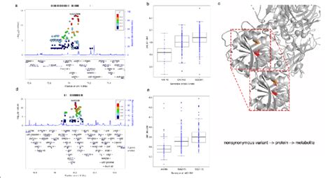 Non Synonymous Metabolite Qtls Associated With Metabolite Features In