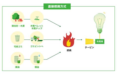 バイオマス発電とは？仕組みやメリット、事例をわかりやすく解説 電気や環境問題のことならシナネンあかりの森メディア