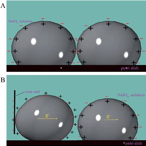 The Charge Distribution In The Process Of Mercury Droplet Merging A