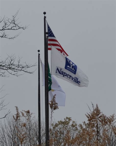 Flags Election Positively Naperville