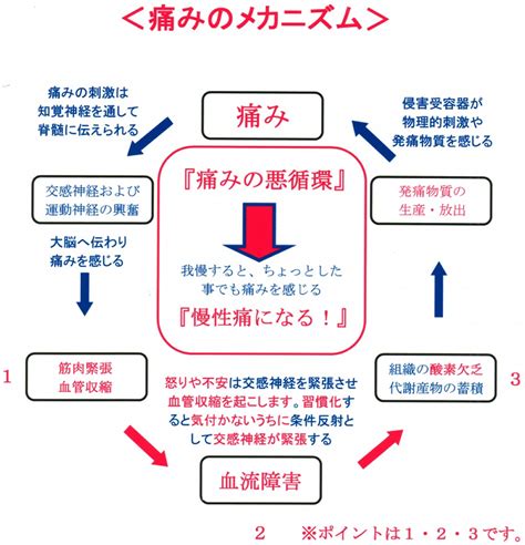 疼痛 メカニズム