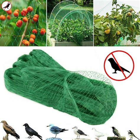 Pi Ces Filet Anti Oiseaux De Verger Filet De Protection Anti Insectes