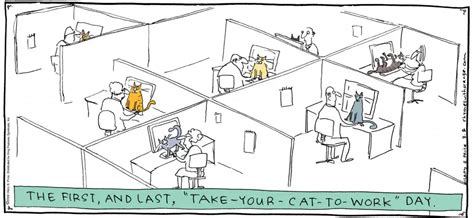 Bring Your Cat To Work Day The Catnip Times