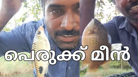 Amazing Fishing Video Traditional Hook Fishing In Village Smart Boy