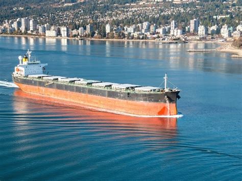 8 Major Types Of Cargo Transported Through The Shipping Industry