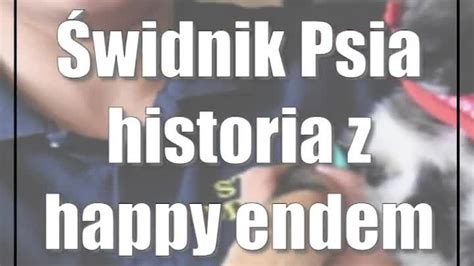 Świdnik Psia historia z happy endem CDA