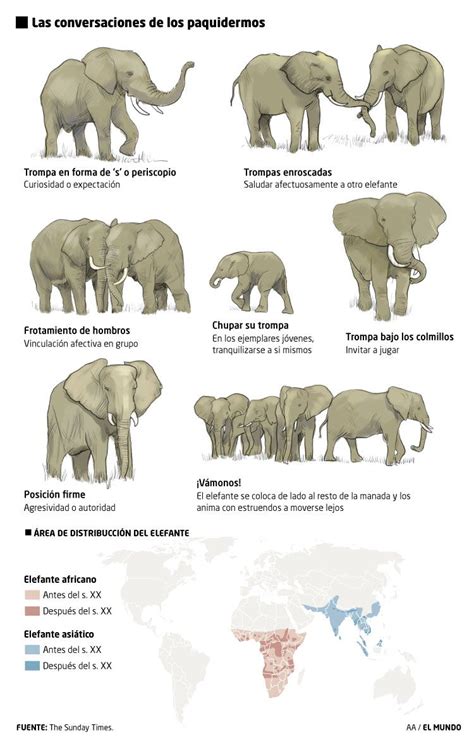 Elephant Facts Types Classification Habitat Diet Adaptations Artofit