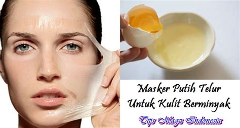 Tips Cepat Masker Putih Telur Untuk Kulit Berminyak