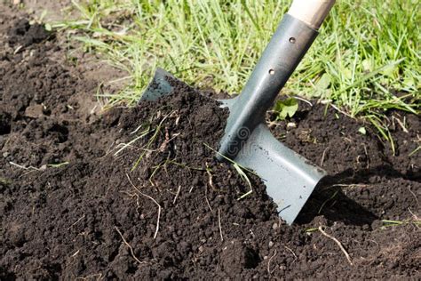 Shovel digging stock photo. Image of ground, worker, construction ...