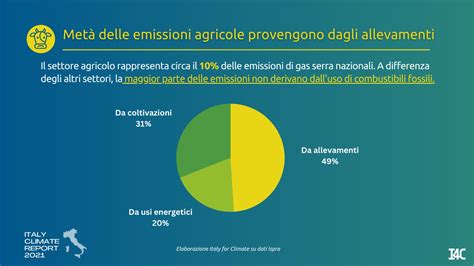 Emissioni Dell Agricoltura La Met Provengono Dagli Allevamenti