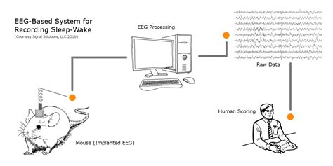 Blog Signal Solutions