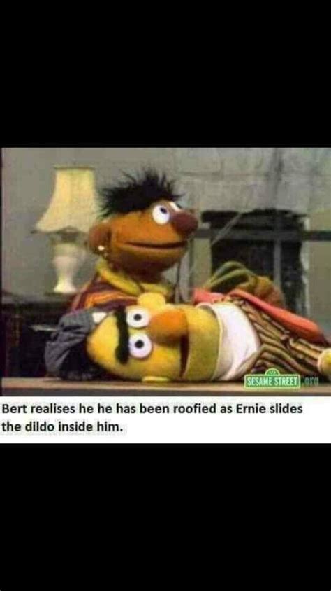 On Today S Show Bert And Ernie Go On An Anal Adventurer 9GAG