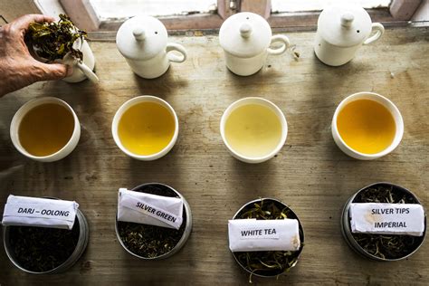 Worlds Most Expensive Teas: A Steeped Journey into Rare and Precious Brews