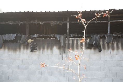 Un Incendio Destruye Una F Brica De Muebles En Mos