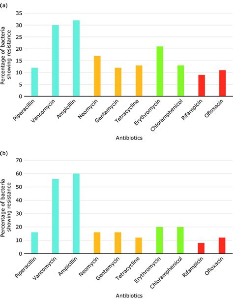 Resistance Levels Of Parsık Cave Bacteria Against Various Antibiotics