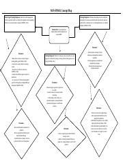 Msn Fp Martinimegan Assessment Conceptmap Attempt Docx Msn