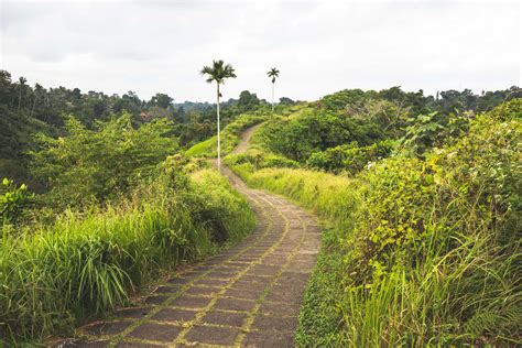 D Couvrir Ubud Bali Le Guide Voyage Coconut Story