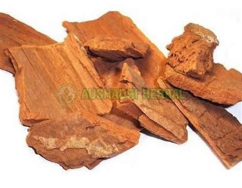 Yohimbe Extract at Rs 2500/kilogram(s) | Yohimbine Hydrochloride in New ...
