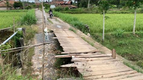 Jalan Dan Jembatan Penghubung Rusak Parah Warga Minta Pemkab Oku Timur