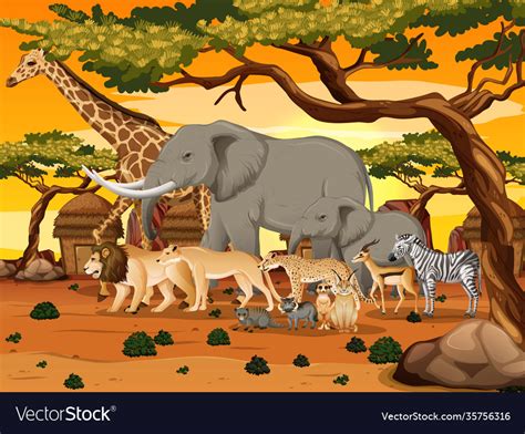 Wild Animals In African Forest