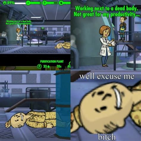 Fallout Shelter Meme Fallout Funny Fallout Meme Fallout Facts