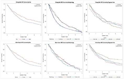 Km Survival Curves Of Npc Survival By Sex Morphology And Year Of