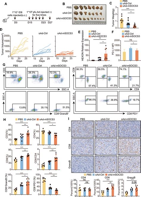 OAd SOCS3 Mediated Oncolysis Increased Anti Tumor Immune Response A