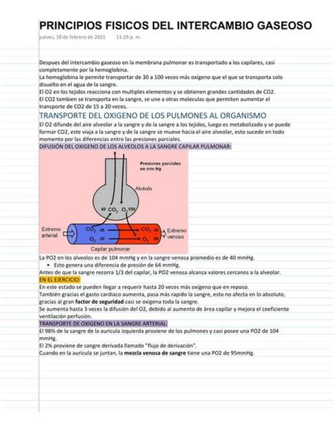 Principios Fisicos Del Intercambio Gaseoso Medicina Zip Udocz