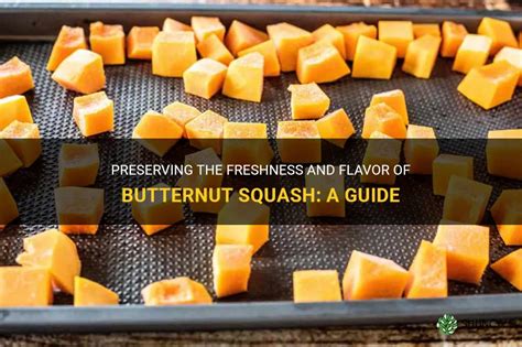 Preserving The Freshness And Flavor Of Butternut Squash A Guide Shuncy