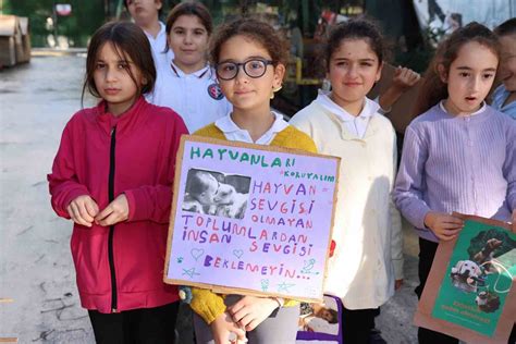 Marmariste Patili Dostlara Yeni Y L Ziyareti Bodrum Kapak Haber