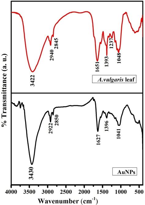 Ft Ir Spectrum Of Synthesized Gold Nanoparticles Download Scientific