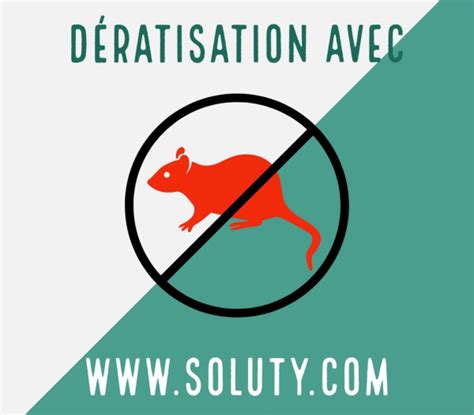 D Ratisation Carros Des Rats Et Souris Soluty